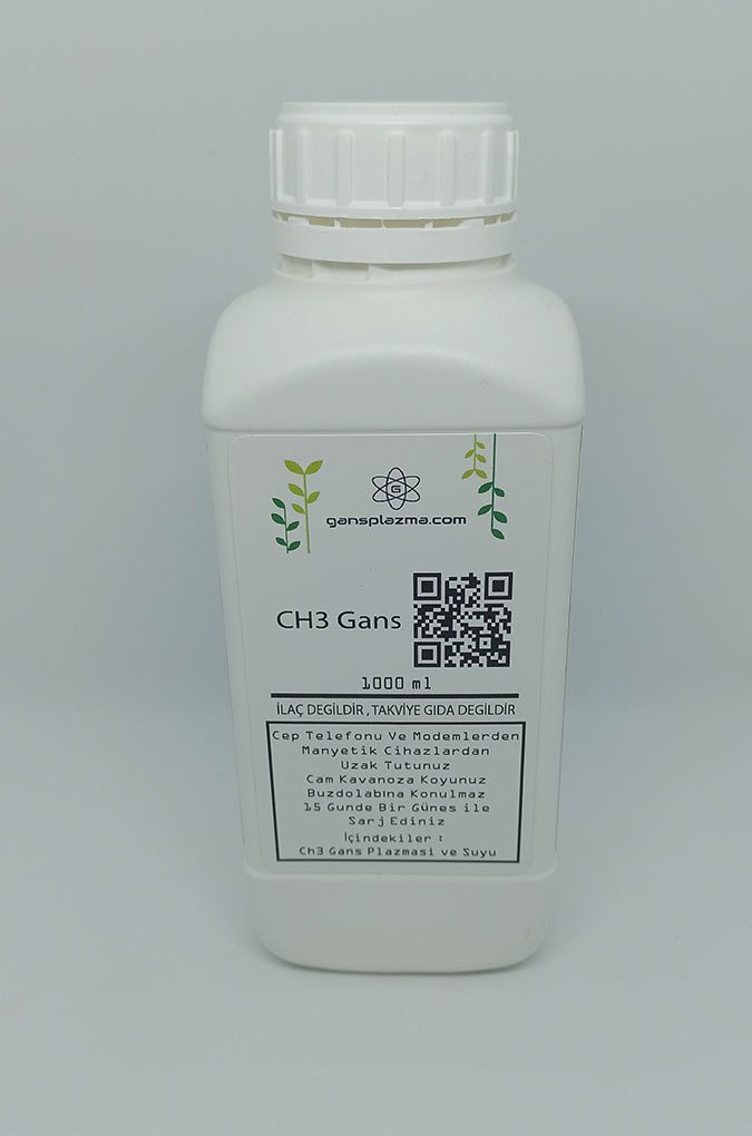 CH3 Gans 500ml