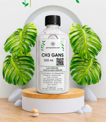 CH3 Gans 500ml